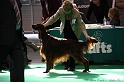 Crufts2011 412